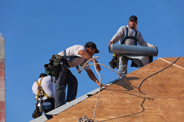 Best Storm Damage Roof Repair  in Morris, IL